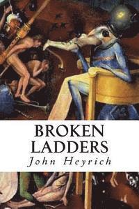 bokomslag Broken Ladders