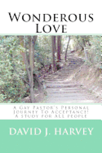 bokomslag Wondrous Love: A Gay Pastor's Personal Journey To Acceptance! A study for ALL people