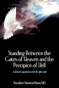 bokomslag Standing Between the Gates of Heaven and the Precipice of Hell: A doctor's experience with the After Life