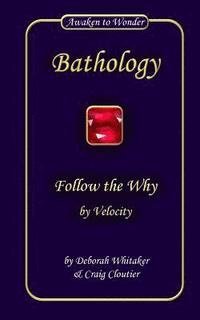 bokomslag Follow the Why: by Velocity