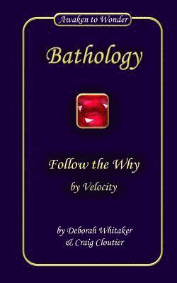 Follow the Why: by Velocity 1