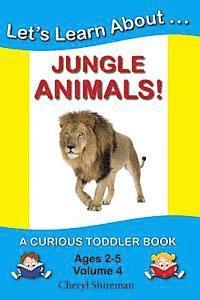 bokomslag Let's Learn About...Jungle Animals!: A Curious Toddler Book