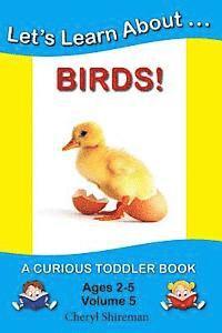 Let's Learn About...Birds!: A Curious Toddler Book 1