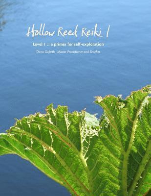 bokomslag Hollow Reed Reiki I: a primer for self-exploration