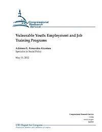 bokomslag Vulnerable Youth: Employment and Job Training Programs