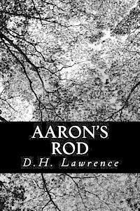 D. H. Lawrence - Aaron's Rod, Häftad