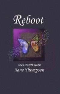 bokomslag Reboot: A Novel of Bipolar Disorder