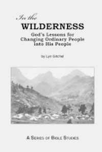bokomslag In the Wilderness: God's Lessons for Changing Ordinary People into His People