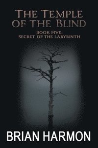 bokomslag Secret of the Labyrinth