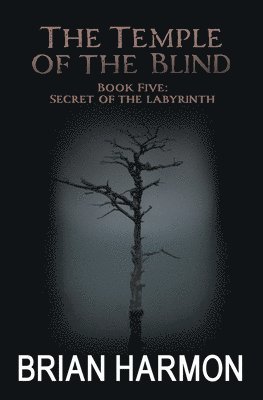 Secret of the Labyrinth 1