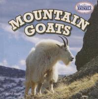 bokomslag Mountain Goats