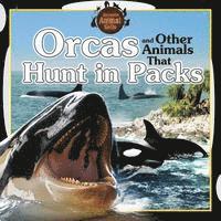 Jennifer Way - Orcas and Other Animals That Hunt in Packs, Häftad