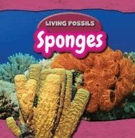 Ryan Nagelhout - Sponges, Inbunden