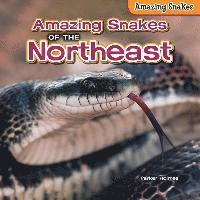 bokomslag Amazing Snakes of the Northeast