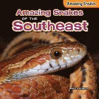 bokomslag Amazing Snakes of the Southeast