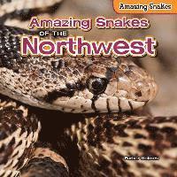 bokomslag AMAZING SNAKES OF THE NORTHWES