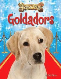 Ruth Owen - Goldadors, Inbunden
