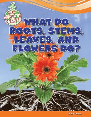 bokomslag What Do Roots, Stems, Leaves, and Flowers Do?