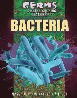 bokomslag Bacteria