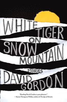 David Gordon - White Tiger on Snow Mountain, Häftad