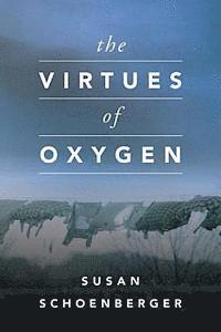 bokomslag The Virtues of Oxygen