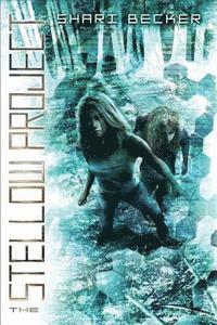 Shari Becker - Stellow Project, Inbunden