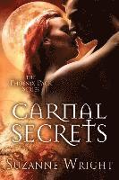 bokomslag Carnal Secrets