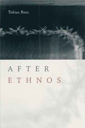 bokomslag After Ethnos