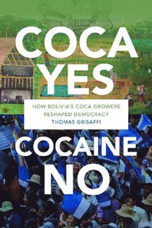 bokomslag Coca Yes, Cocaine No