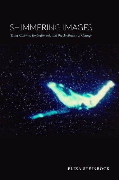 Eliza Steinbock - Shimmering Images, Häftad