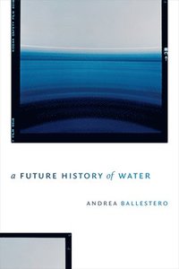 bokomslag A Future History of Water