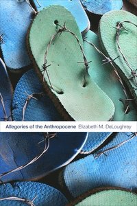 bokomslag Allegories of the Anthropocene