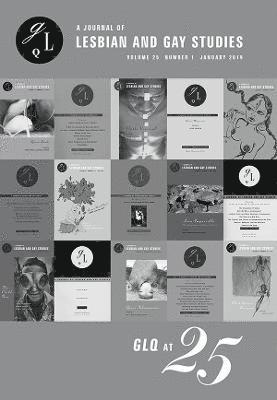 Marcia Ochoa, Jennifer DeVere Brody - GLQ at Twenty-Five, Häftad