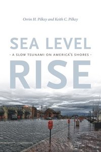bokomslag Sea Level Rise