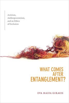 bokomslag What Comes After Entanglement?