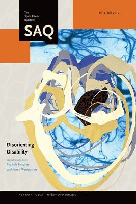 bokomslag Disorienting Disability