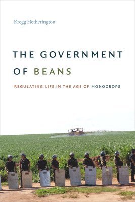 The Government of Beans 1