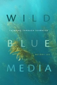 bokomslag Wild Blue Media