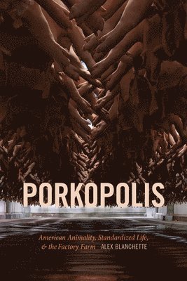 Alex Blanchette - Porkopolis, Häftad