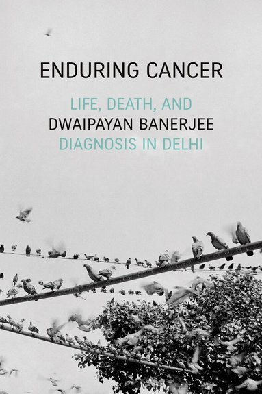 Dwaipayan Banerjee - Enduring Cancer, Inbunden