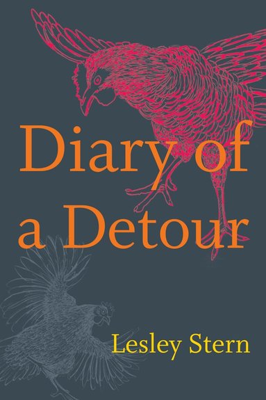 Lesley Stern - Diary of a Detour, Häftad