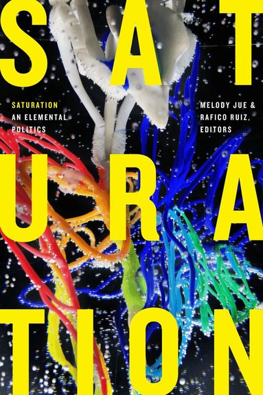 Melody Jue, Rafico Ruiz - Saturation, Inbunden