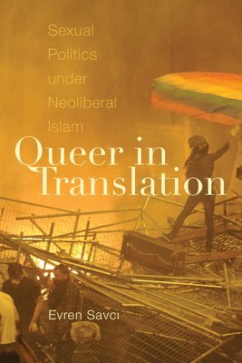 bokomslag Queer in Translation