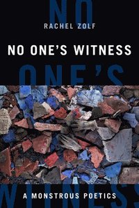 bokomslag No One's Witness