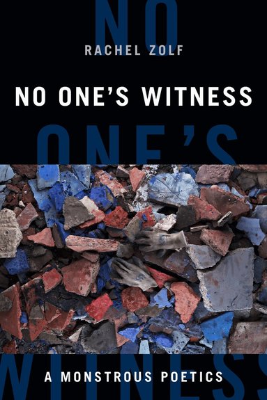 Syd Zolf - No One's Witness, Inbunden
