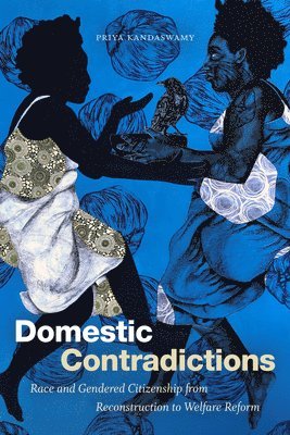 bokomslag Domestic Contradictions