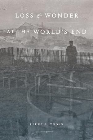 bokomslag Loss and Wonder at the World's End