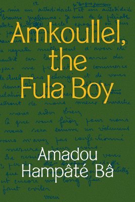 Amkoullel, the Fula Boy 1