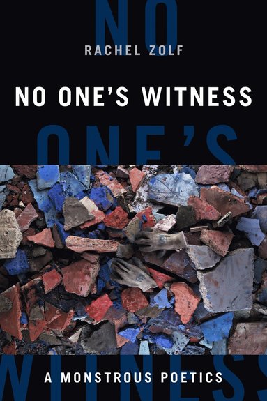 bokomslag No One's Witness