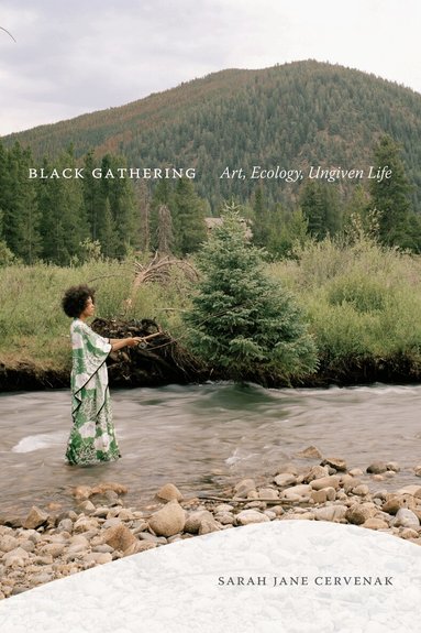 Sarah Jane Cervenak - Black Gathering, Häftad